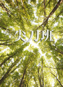 久久久久亚洲精品一区二区三区